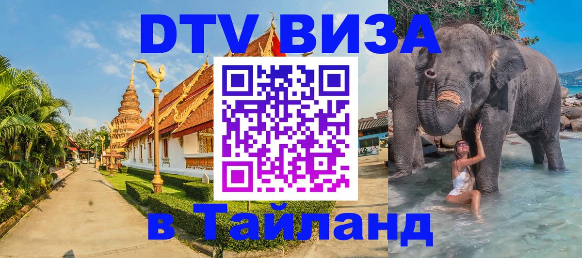 Сколько стоит DTV виза — актуальные цены, оформление даже без документов - Вашингтон  03.10.2025 